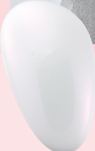 ホワイトの卵型頭皮ブラシデバイスの背面