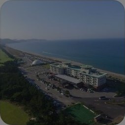 삼척 씨스포빌 리조트 — 긴 해변과 짙푸른 바다 옆 녹색 지붕 리조트와 주차장, 소나무, 흰 돔 고공 뷰