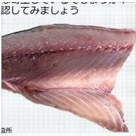 まな板の上に置かれた生のサバの切り身のアップ。画像内の文字「認してみましょう」「台所」