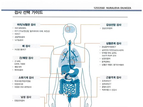 차병원 분당 검사 선택 가이드 변환 결과